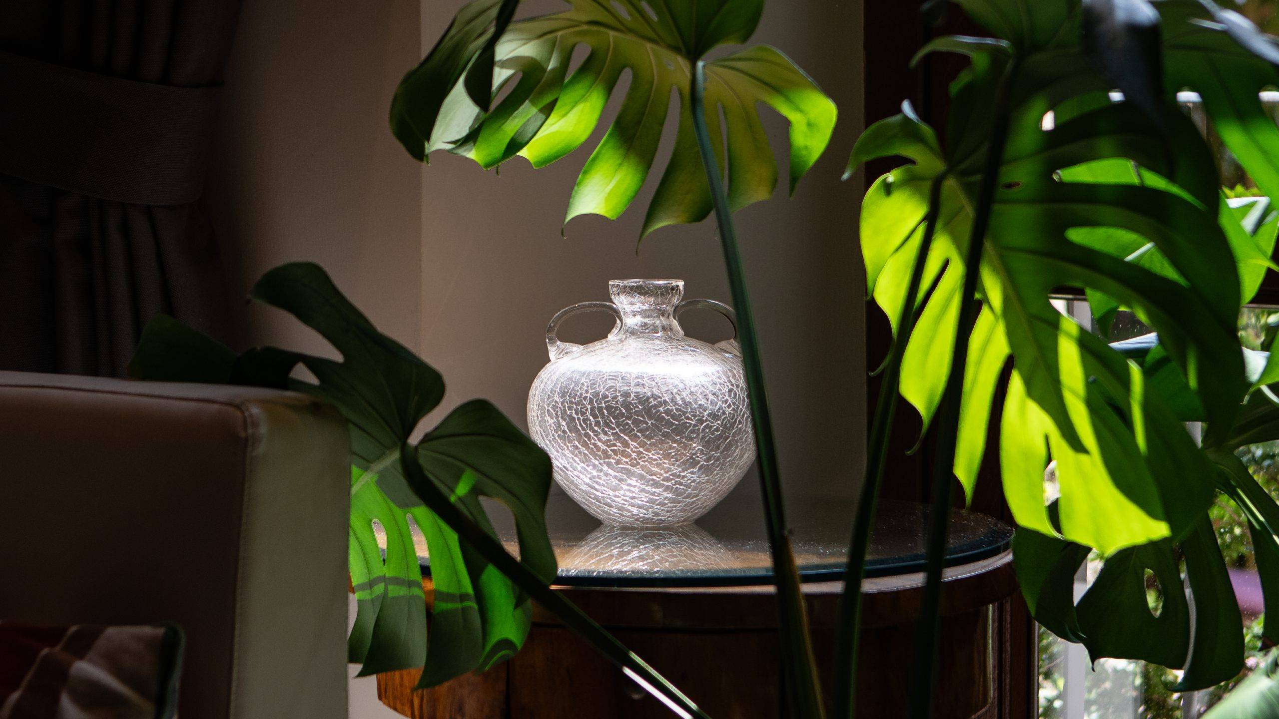 Hotel-Caravaggio-Firenze-17-dettaglio-pianta-vaso-foto-orizzontale Hotel-Caravaggio-Firenze-17-dettaglio-pianta-vaso-foto-orizzontale