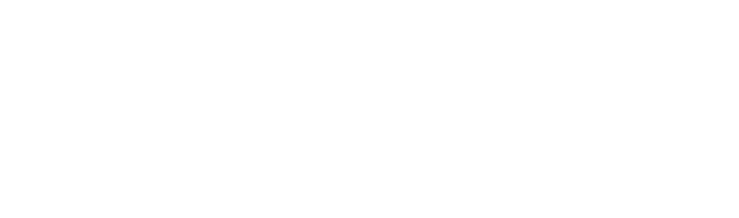 Logo Hotel Caravaggio Firenze