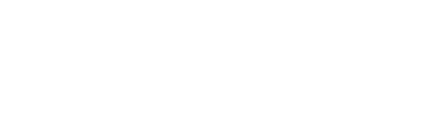 Logo Hotel Caravaggio Firenze